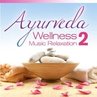 Ayurveda Wellness Music Relaxation, Vol.2