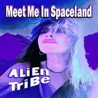 Meet Me in Spaceland