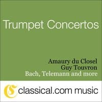 Trumpet Concerto - Lent et calme