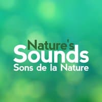 Nature's Sounds - Sons De La Nature