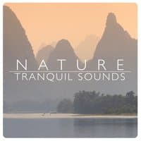 Nature: Tranquil Sounds