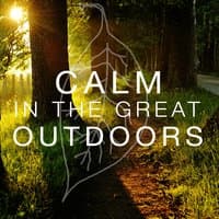 Calm in the Great Outdoors