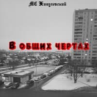 В общих чертах