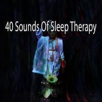 40 Sounds of Sleep Therapy