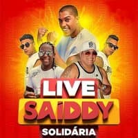 Live Solidária