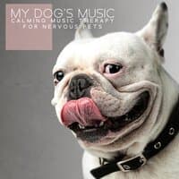 My Dog's Music. Calming Music Therapy for Nervous Pets- Treatment of Anxiety & Depression, Stress Relief