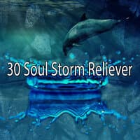 30 Soul Storm Reliever