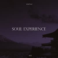 Soul Experience