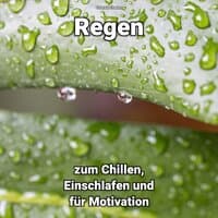 Regen zum Chillen, Einschlafen und für Motivation