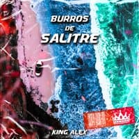 Burros De Salitre