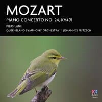 Piano Concerto No. 24 in C Minor, K. 491: I. Allegro