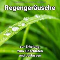 Regengeräusche zur Erholung, zum Einschlafen und Loslassen