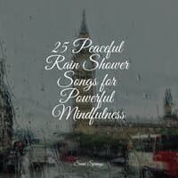 25 Peaceful Rain Shower Songs for Powerful Mindfulness