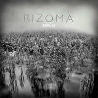 RIZOMA