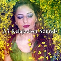 53 Relajacion Sounds