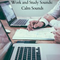 Work and Study Sounds: Calm Sounds