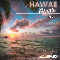 Hawaii Magic, Set 2