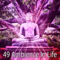 49 Ambience in Life