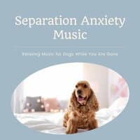 Separation Anxiety Music - Relaxing Music for Dogs While You Are Gone