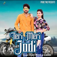 Teri Meri Jodi