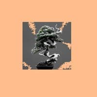 Bonsai, Vol. 1