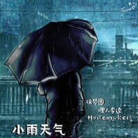 小雨天气