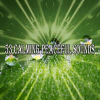 53 Calming Peaceful Sounds