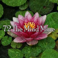 72 The Mind Mine