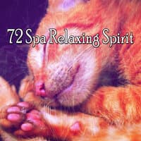 72 Spa Relaxing Spirit