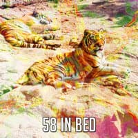 58 In Bed