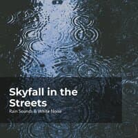 Skyfall in the Streets