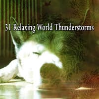 31 Relaxing World Thunderstorms