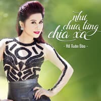 Như Chưa Từng Chia Xa