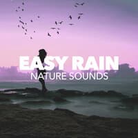 Easy Rain