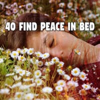 40 Find Peace in Bed