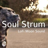 Soul Strum