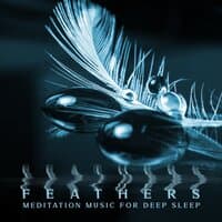 Feathers: Meditation Music for Deep Sleep - Falling Asleep & Sleeping Ambient Relaxation Music, Stress Relief, Insomnia, Inner Peace,