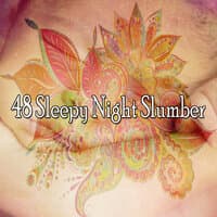 48 Sleepy Night Slumber