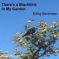 There's a Blackbird in My Garden