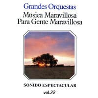 Música Maravillosa Para Gente Maravillosa, Vol. 22