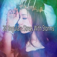 28 Regulate Stress with Storms