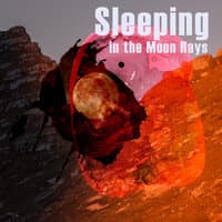 Sleeping in the Moon Rays: Relaxing Background Music for Calm Sleep