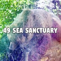 49 Sea Sanctuary