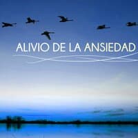 Alivio De La Ansiedad