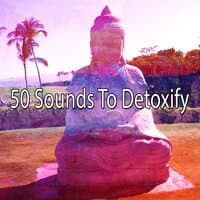 50 Sounds to Detoxify