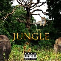 JUNGLE