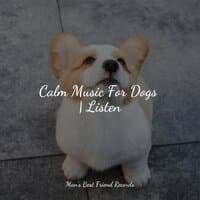 Comforting Music For Dogs | Spa & Massage