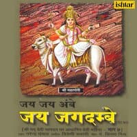 Jai Jai Ambe Jai Jagdambe, Vol. 7