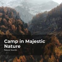 Camp in Majestic Nature