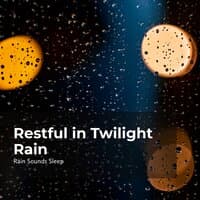 Restful in Twilight Rain